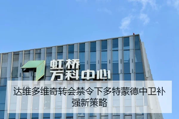 达维多维奇转会禁令下多特蒙德中卫补强新策略