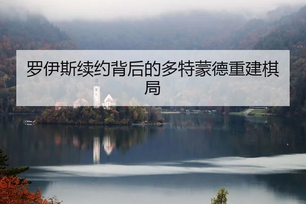 罗伊斯续约背后的多特蒙德重建棋局