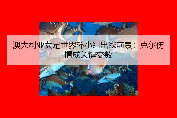 ao-da-li-ya-nv-zu-shi-jie-bei-xiao-zu-chu-xian-qian-jing-ke-er-shang-qing-cheng-guan-jian-bian-shu-2-940.jpg