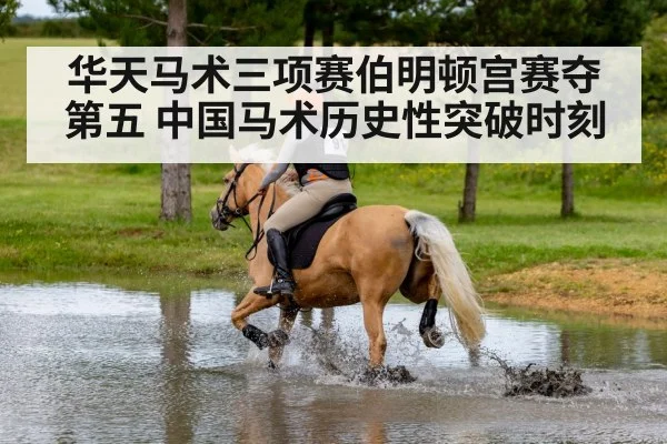 cross country horse riding