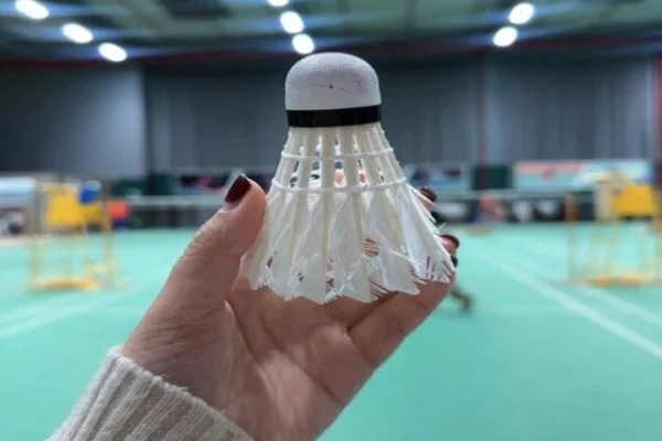 ATP巴塞尔公开赛阿尔卡拉斯与谢尔顿争冠分析与室内硬地胜负手展望